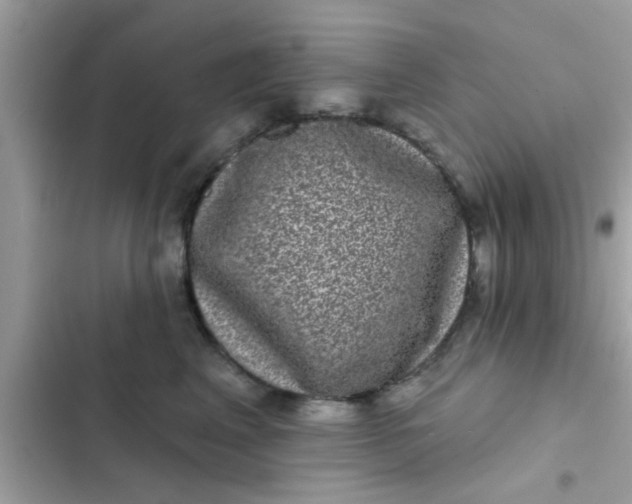 X0000102400617200808151944