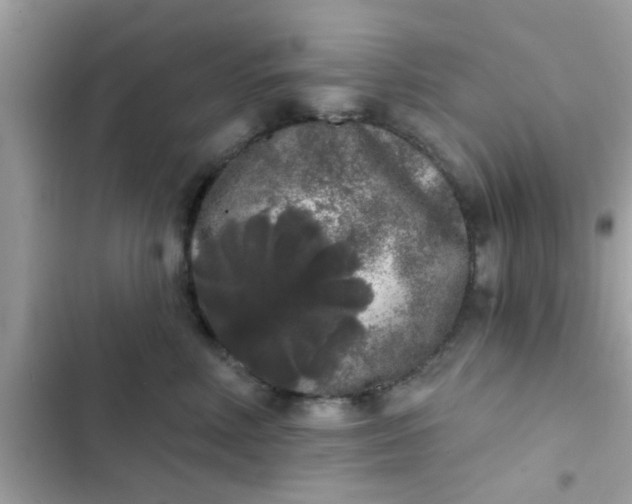 X0000102400618200808151944