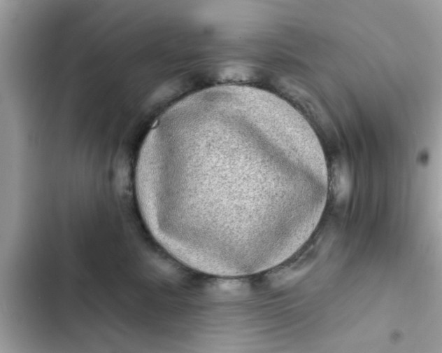 X0000102400619200808151944