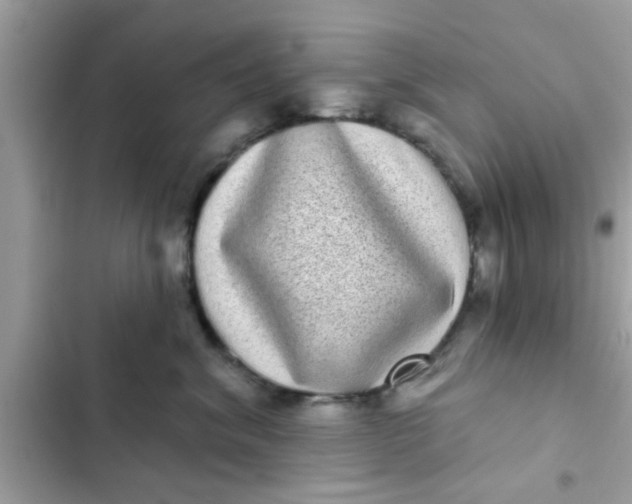 X0000102400620200808151944