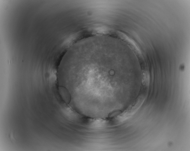 X0000102400621200808151944