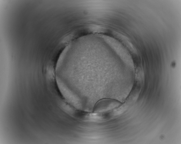 X0000102400622200808151944