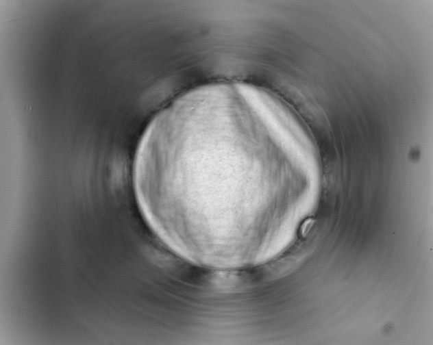 X0000102400623200808151944