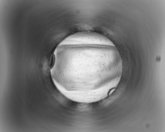 X0000102400624200808151944