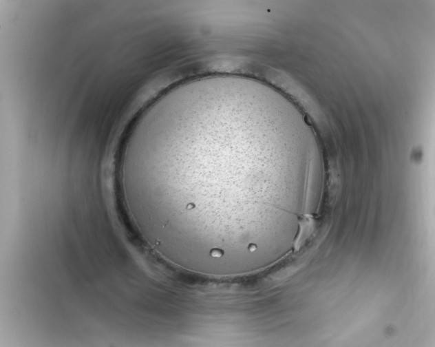 X0000102400626200808151943