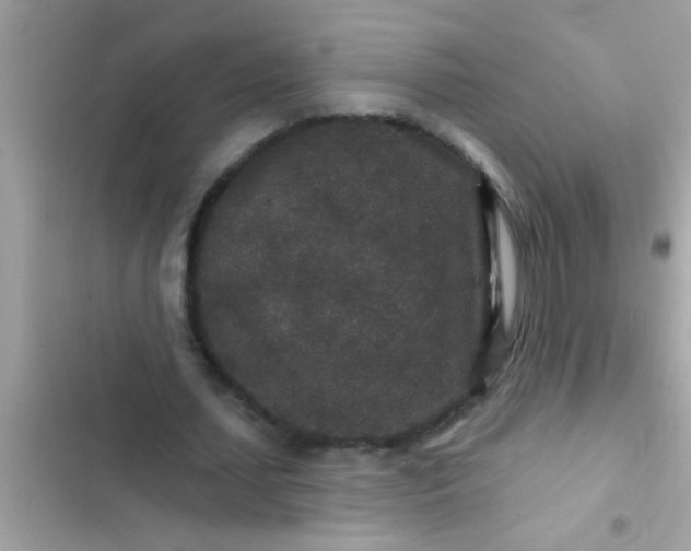 X0000102400627200808151943