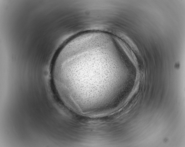 X0000102400628200808151943