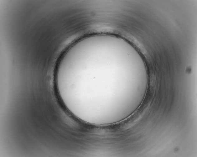 X0000102400629200808151943