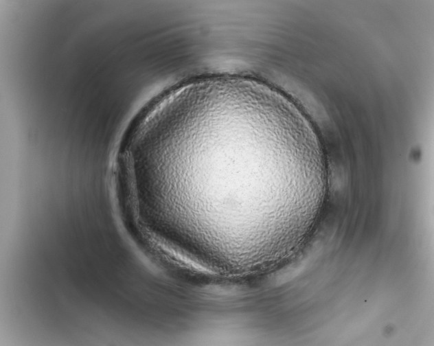 X0000102400630200808151943