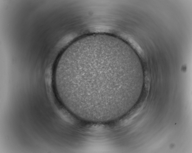 X0000102400631200808151944