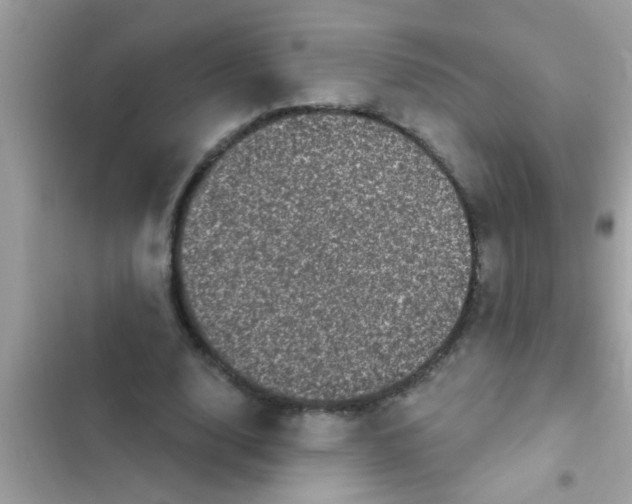 X0000102400632200808151944