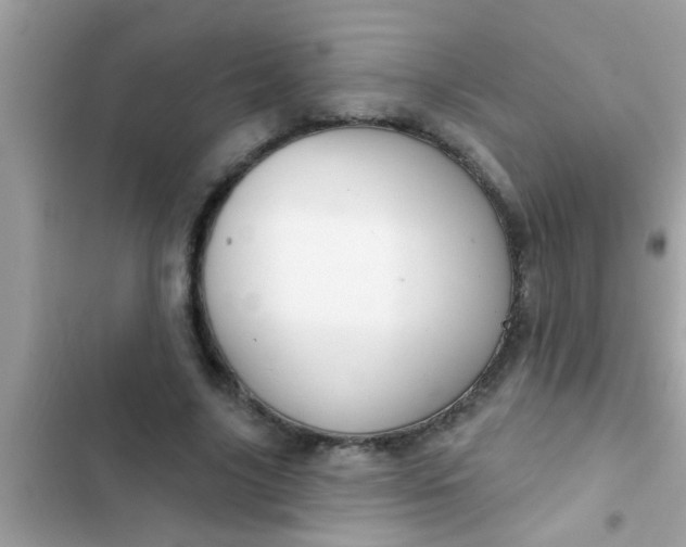 X0000102400635200808151944