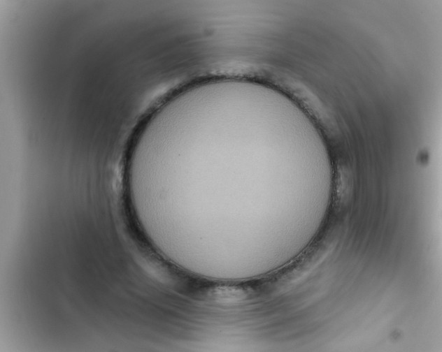 X0000102400636200808151944