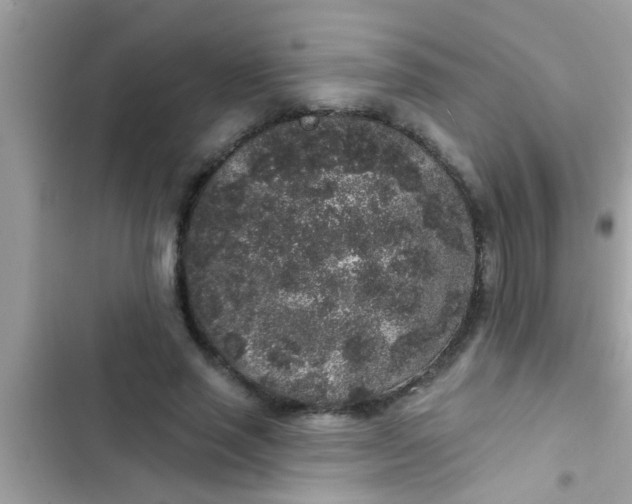 X0000102400637200808151944