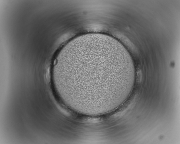 X0000102400638200808151944