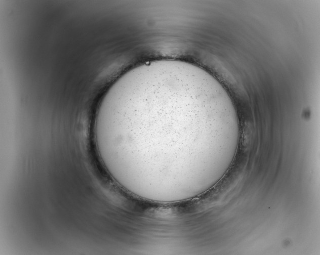 X0000102400639200808151944