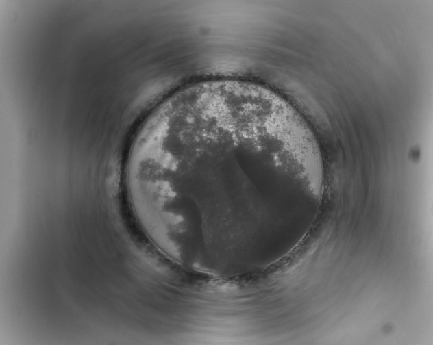 X0000102400640200808151944