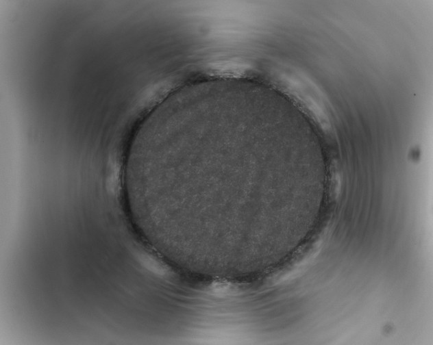 X0000102400641200808151944