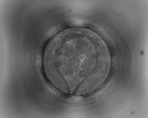 X0000102400642200808151944