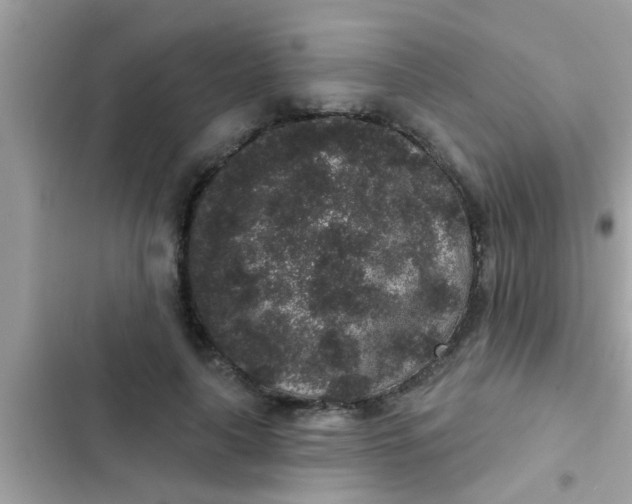 X0000102400643200808151944