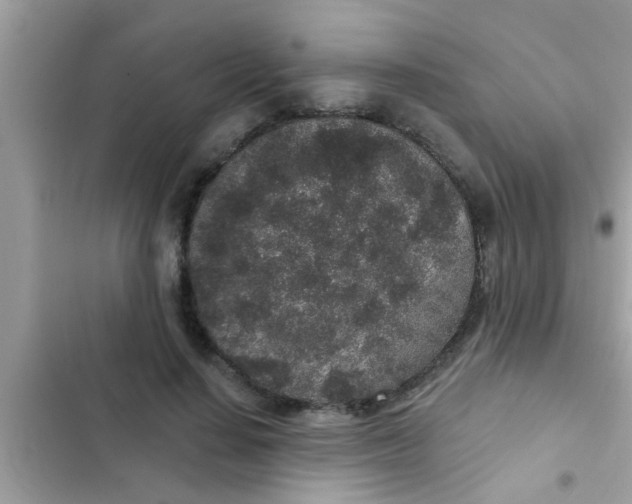 X0000102400644200808151944