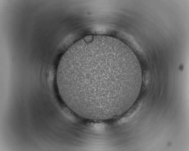 X0000102400645200808151944