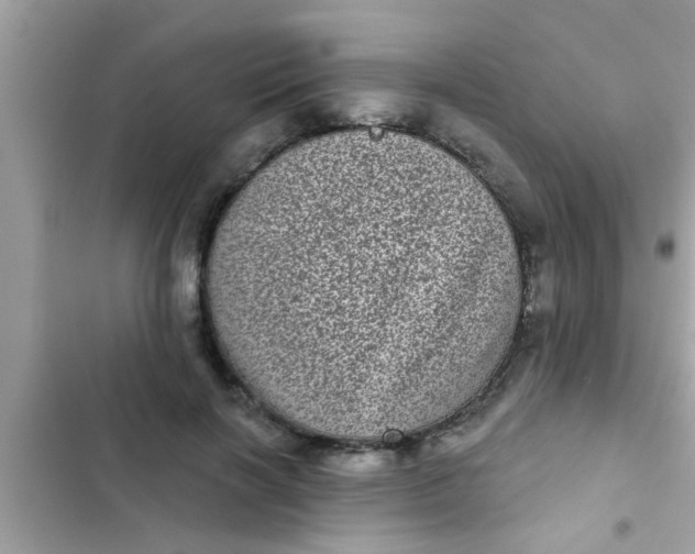 X0000102400646200808151944