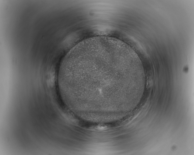 X0000102400647200808151944