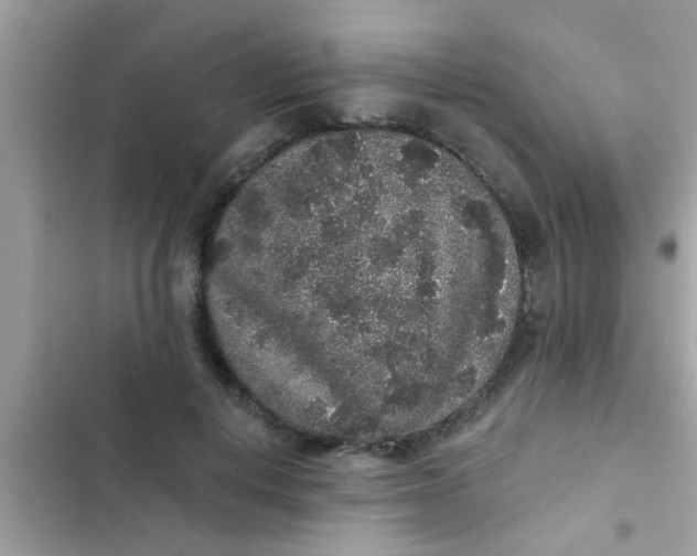 X0000102400648200808151944