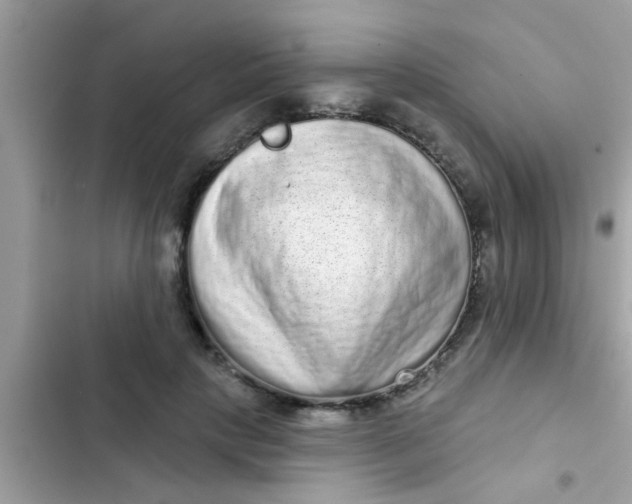 X0000102400649200808151944