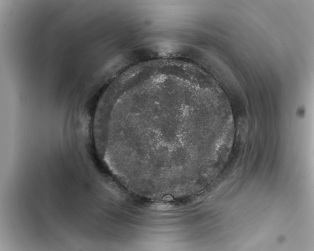 X0000102400650200808151944