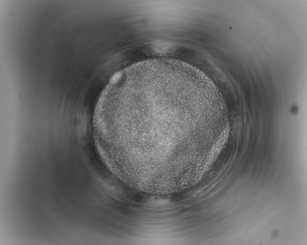 X0000102400651200808151944