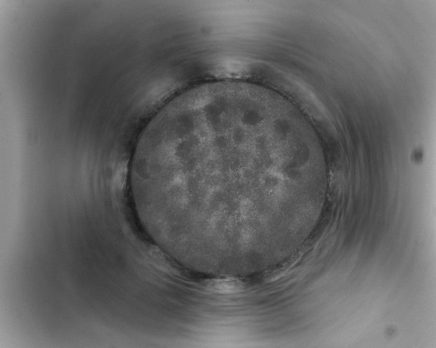 X0000102400652200808151944