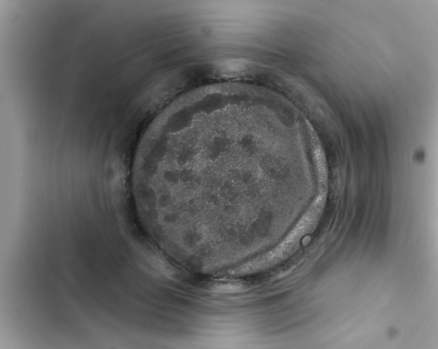 X0000102400653200808151944