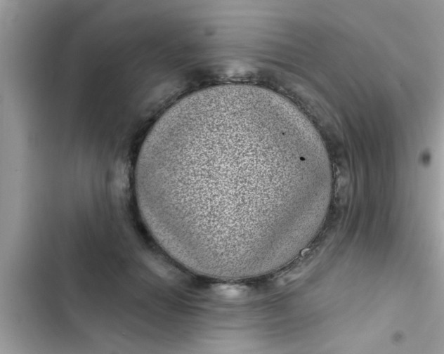 X0000102400654200808151944