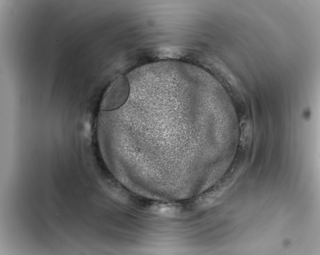 X0000102400655200808151944