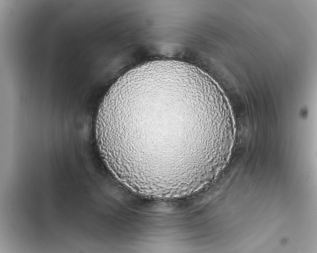 X0000102400656200808151944