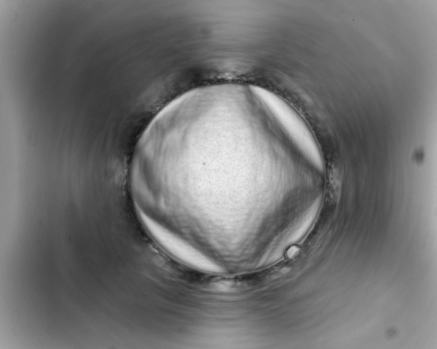 X0000102400657200808151944