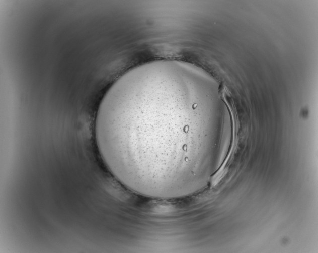 X0000102400658200808151944