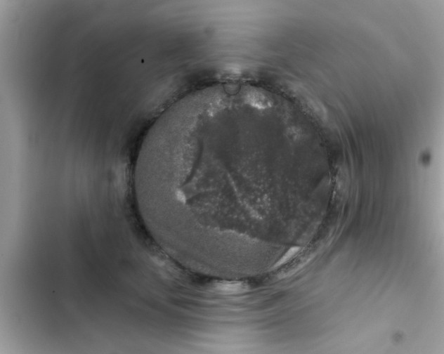 X0000102400659200808151944