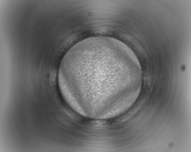 X0000102400660200808151944