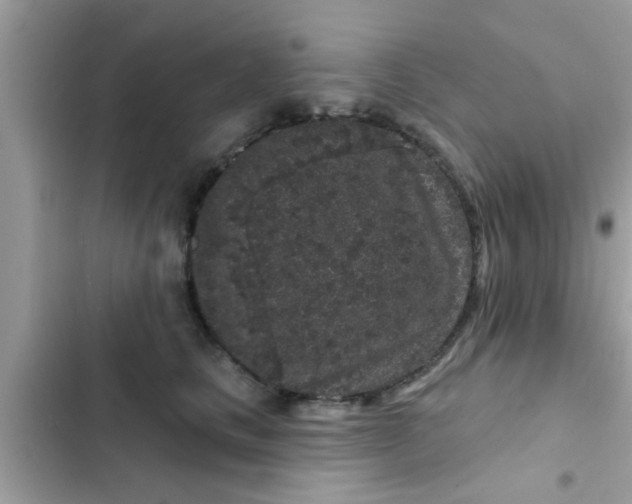 X0000102400661200808151944