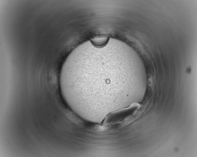 X0000102400662200808151944