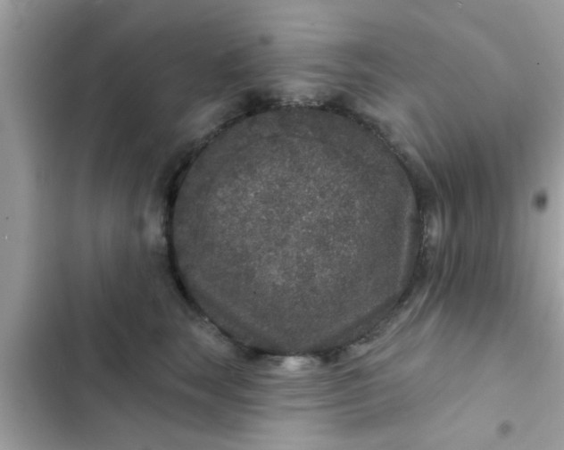 X0000102400663200808151944