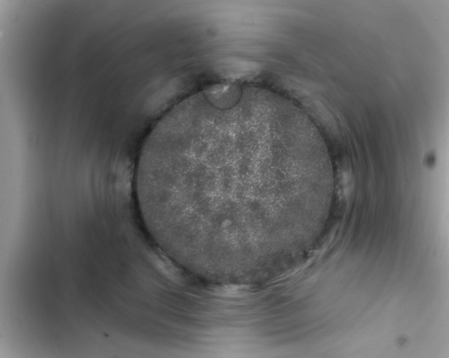 X0000102400664200808151944