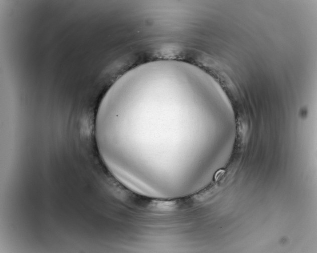 X0000102400665200808151944