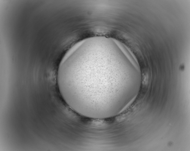 X0000102400666200808151944