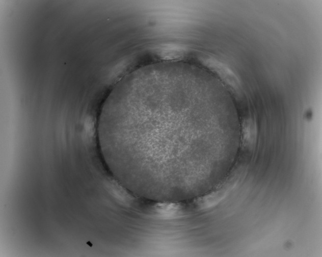 X0000102400667200808151944