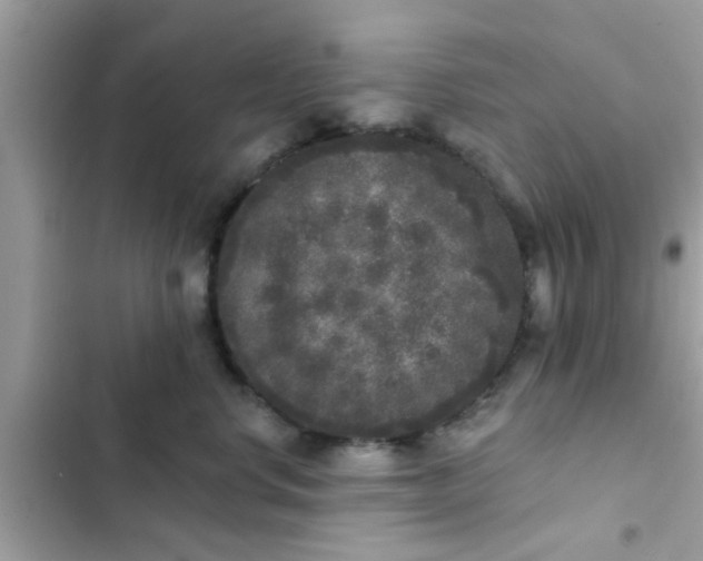 X0000102400668200808151944