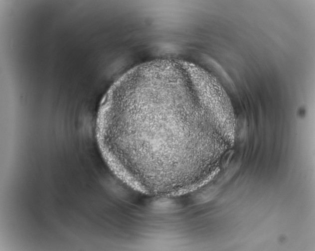 X0000102400669200808151944